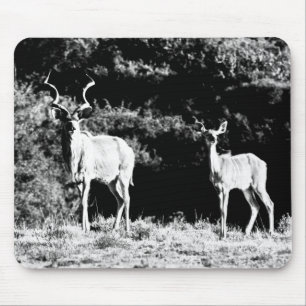 Mousepad Touro e vaca de Kudu em preto & no branco -