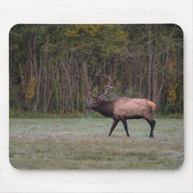 Mousepad Touro Elk Morning Walk (Frente)