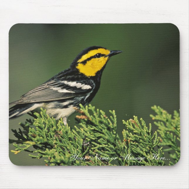 Mousepad Toutinegra do Ouro-Cheeked (Frente)