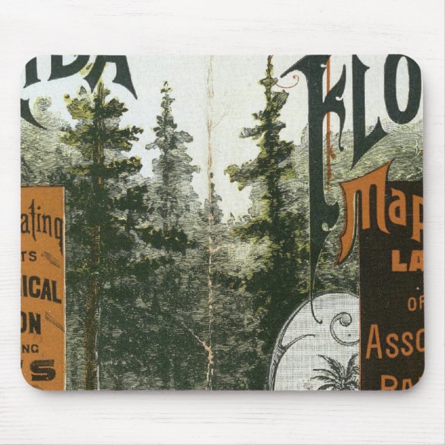 Mousepad Township Map, Flórida (Frente)