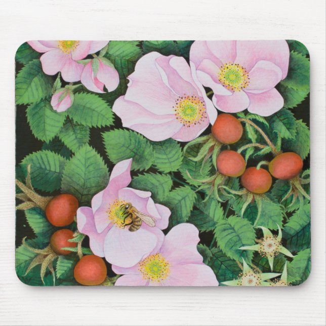 Mousepad Trabalho 2011 da equipe (Frente)