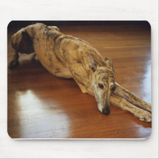 Mousepad Trabalho do assoalho do galgo