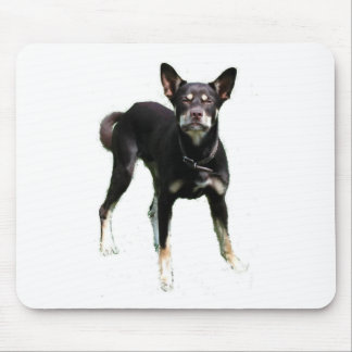 Mousepad Trabalho dos Kelpies…!
