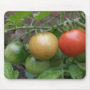 Mousepad Tráfego Tomates Ligeiros