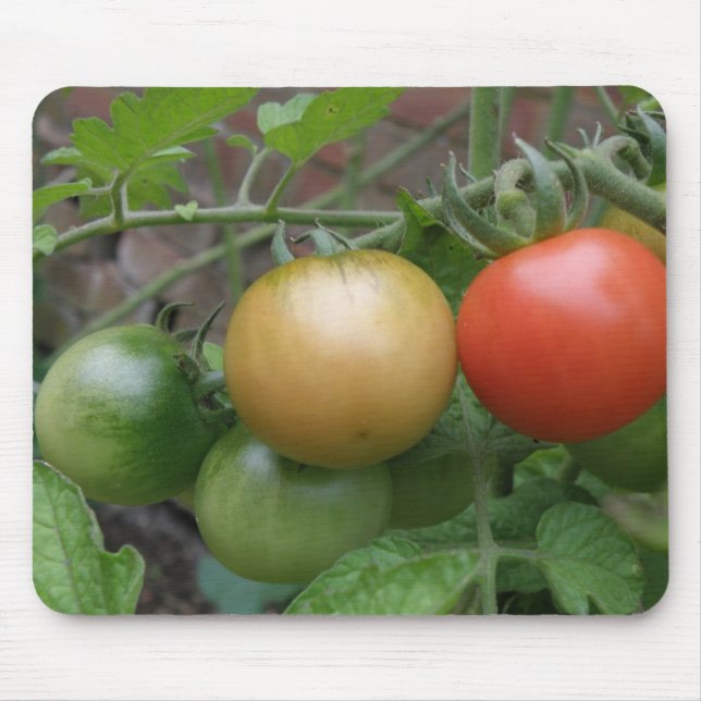 Mousepad Tráfego Tomates Ligeiros (Frente)