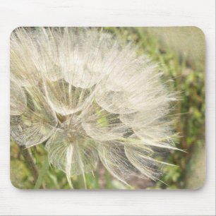 Mousepad Tragopogon dubius - Barba Amarela