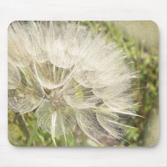 Mousepad Tragopogon dubius - Barba Amarela (Frente)
