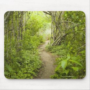 Mousepad Trajeto através da floresta