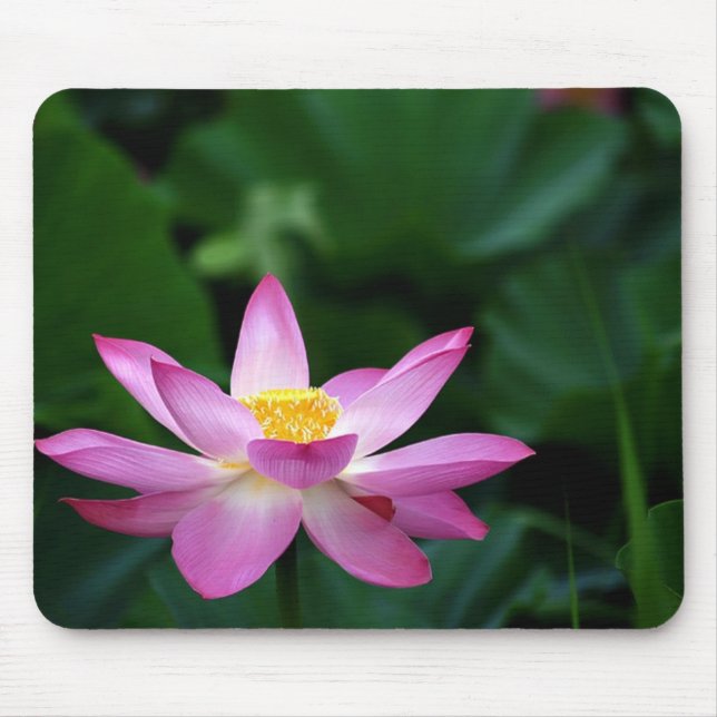 Mousepad Tranquillity de Lotus (Frente)