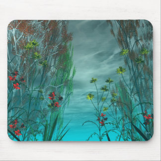 Mousepad Transições