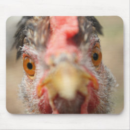 Mousepad Tratamentos?