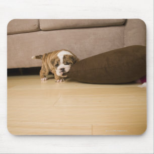 Mousepad Travesseiro cortante do filhote de cachorro inglê