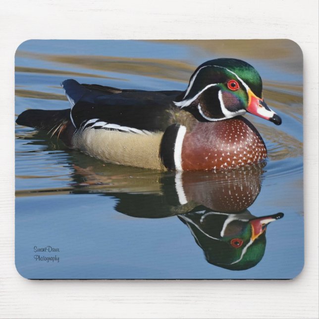 Mousepad Travesseiro decorativo de Reflexão do Pato Masculi (Frente)