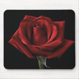 Mousepad travesseiro decorativo Rosa vermelha