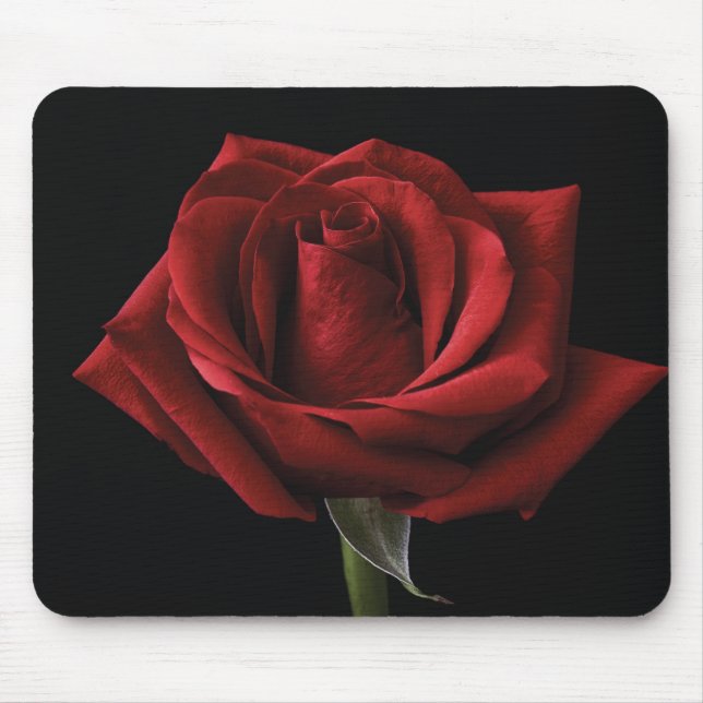 Mousepad travesseiro decorativo rosa vermelha (Frente)