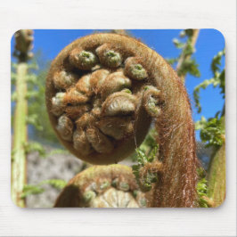 Mousepad Tree Fern Frond