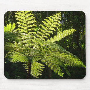 Mousepad Tree Fern na Floresta Tropical