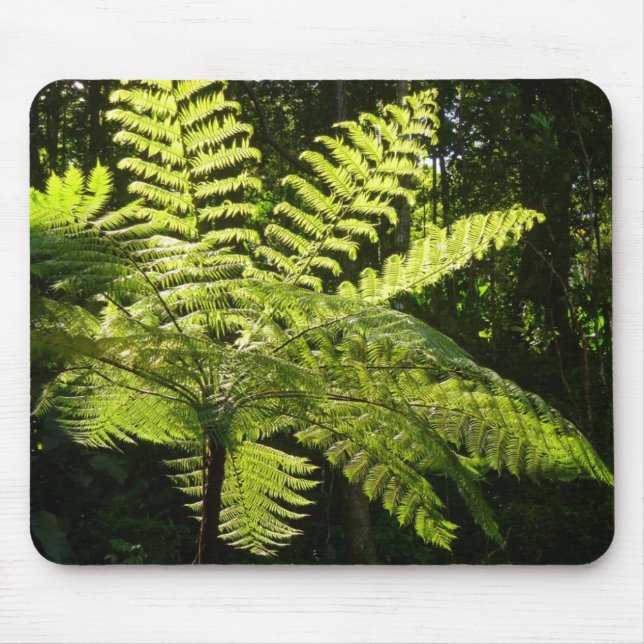 Mousepad Tree Fern na Floresta Tropical (Frente)