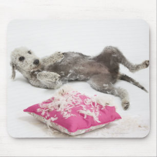 Mousepad Treinamento do comportamento do cão