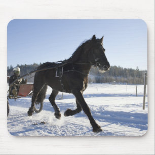 Mousepad Treinamento dos cavalos em uma paisagem invernal,