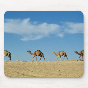 Mousepad Trem do camelo