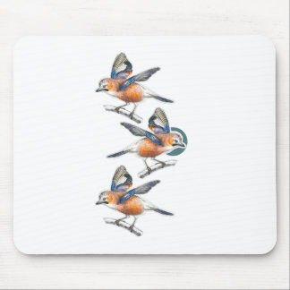 Mousepad Três aves