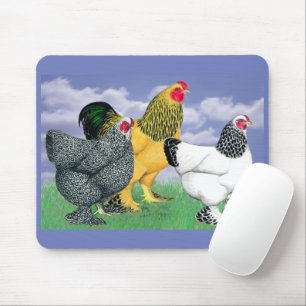 Mousepad Três Brahmas