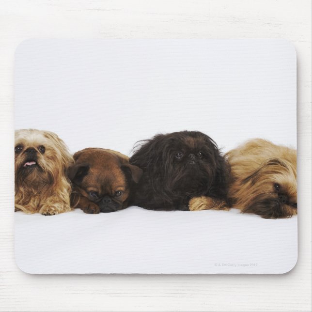 Mousepad Três cães Pekingeses e Pug solteiro deitado (Frente)