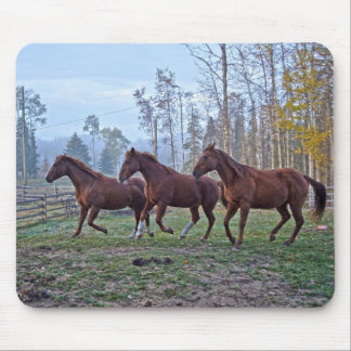 Mousepad Três Cavalos Movendo-Se Como Um Presente Fotográfi