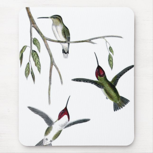 Mousepad Três colibris verdes (Frente)