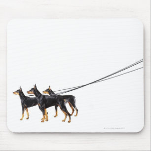 Mousepad Três Dobermans na coleira