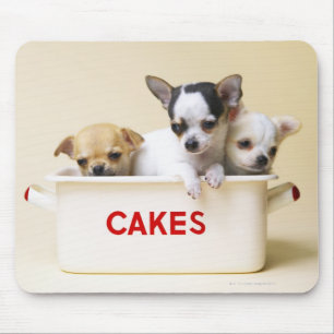 Mousepad Três filhotes de cachorro da chihuahua na lata do