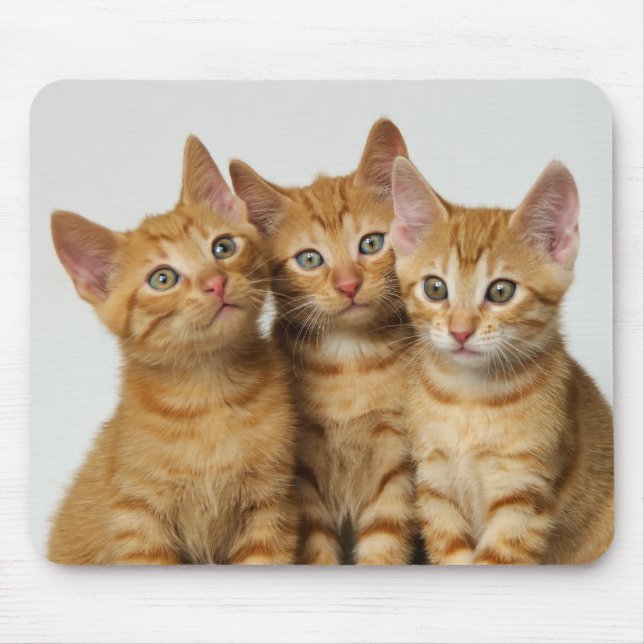 Mousepad Três gatinhos bonitos do gengibre de lado a lado (Frente)