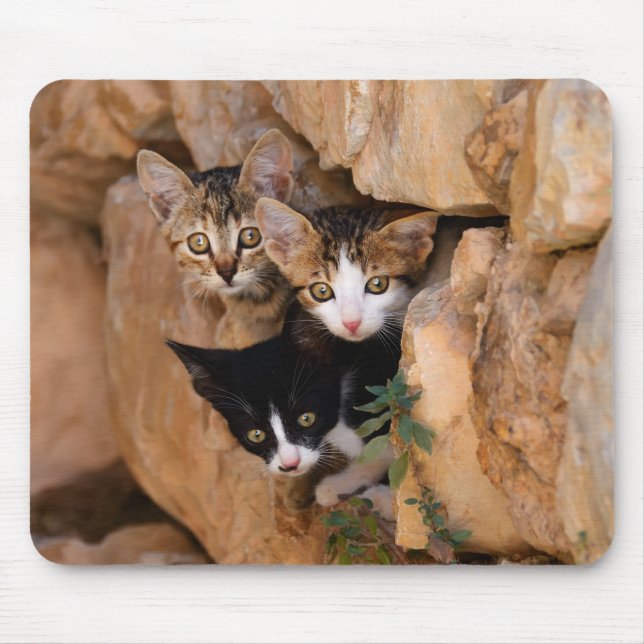 Mousepad Três gatinhos lindos e curiosos (Frente)