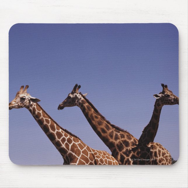 Mousepad Três girafas (Frente)