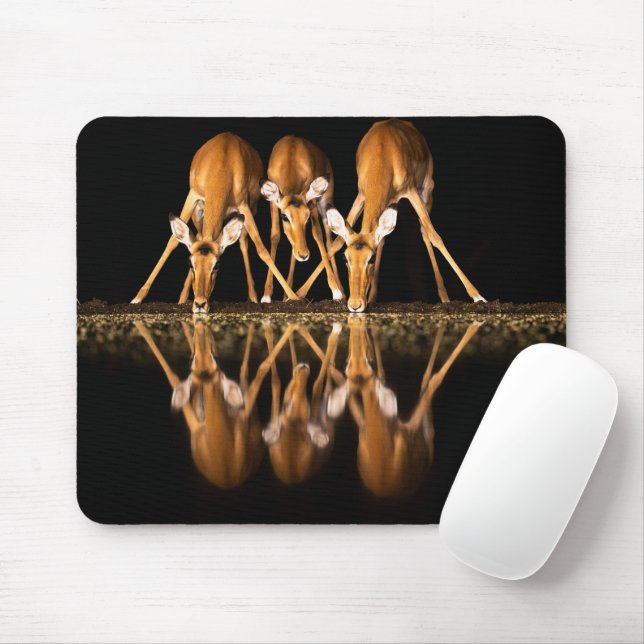 Mousepad Três impalas bebem juntos à noite (Com mouse)