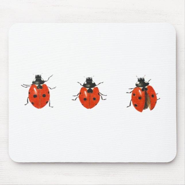Mousepad Três joaninha 2013 (Frente)