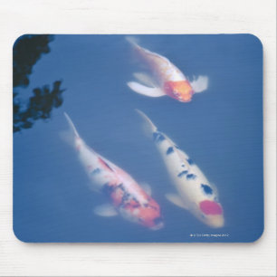 Mousepad Três peixes japoneses do koi na lagoa