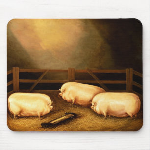 Mousepad Três porcos premiados fora de um chiqueiro