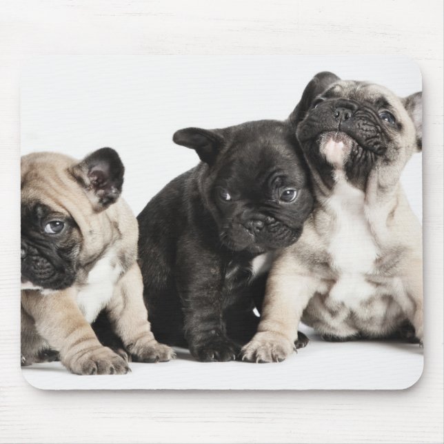 Mousepad Três Pug Puppies (Frente)