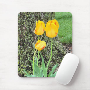 Mousepad Três Tulipas Amarelas /