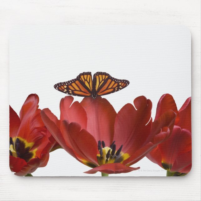 Mousepad Três tulipas vermelhas e uma borboleta monarca con (Frente)