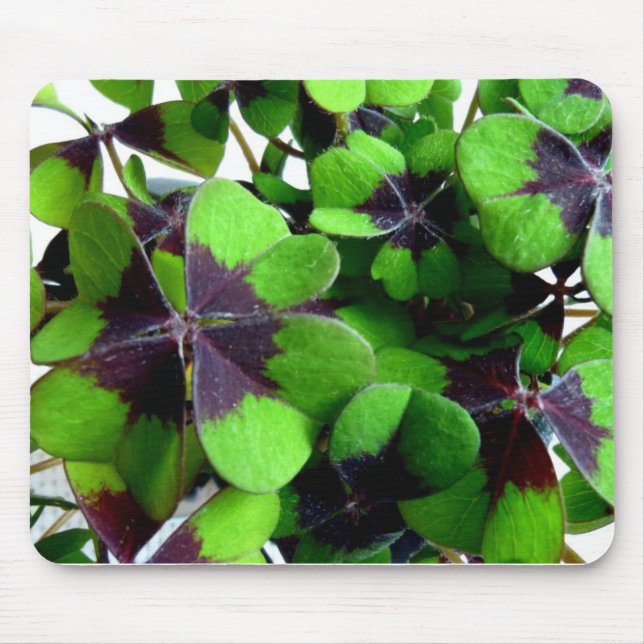 Mousepad Trevo de Quatro Folhas Shamrock St. Patrick Abenço (Frente)