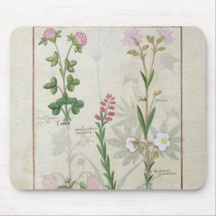 Mousepad Trevo vermelho & Onobrychis & Hyssopus de Aube