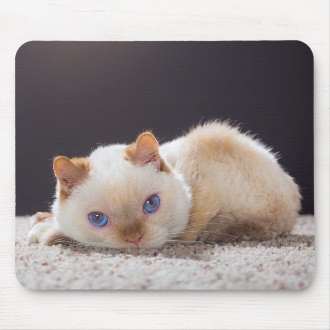 Mousepad Trident o tapete do rato 01 do gato (Frente)