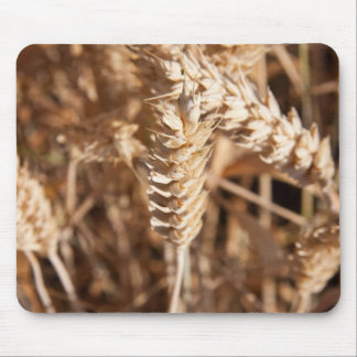 Mousepad Trigo