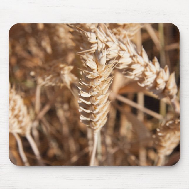 Mousepad Trigo (Frente)