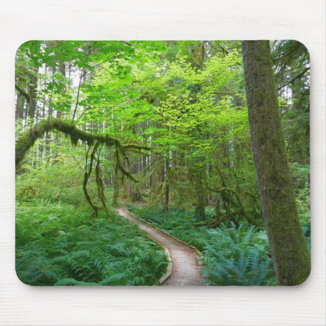 Mousepad Trilha Ancient Groves no Parque Nacional Olímpico (Frente)