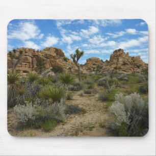 Mousepad Trilha Barker Dam Loop no Parque Nacional Joshua T