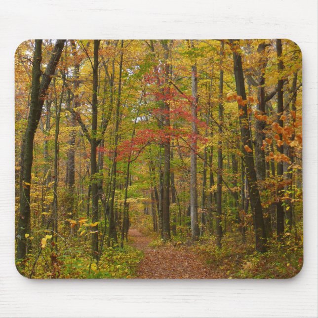 Mousepad Trilha de Laurel Hill no Outono (Frente)